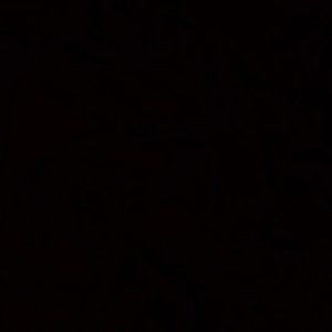 Meet your Posher, Sualeha